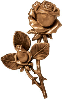 Rose 29 351